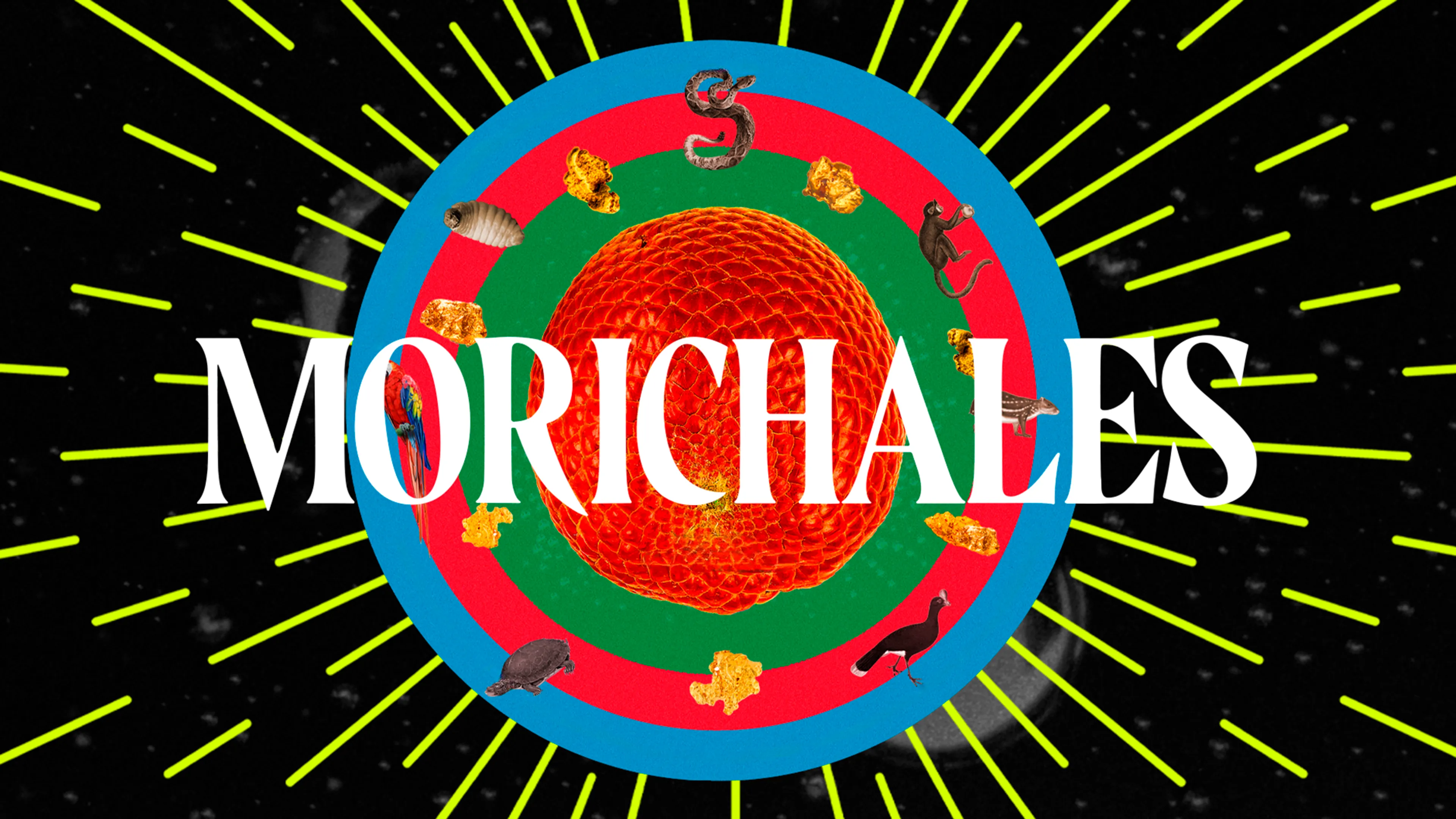 Title poster image